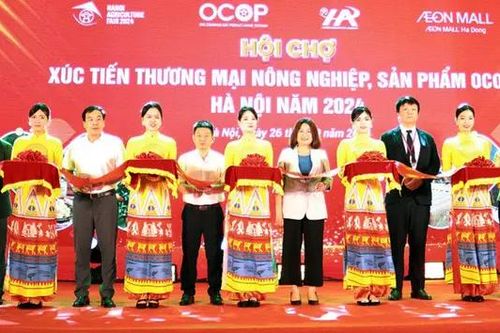 Hà Nội hỗ trợ đưa hàng Việt vào siêu thị quốc tế