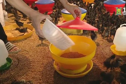 Nông dân xử lý rác thải để giảm phát thải nhà kính