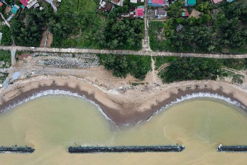 Hà Tĩnh: Bờ biển sạt lở, phi lao bật gốc, hàng trăm hộ dân thấp thỏm mùa mưa bão