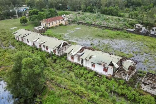 Trại thực nghiệm giống bị bỏ hoang gần thập kỷ bên bờ biển Hà Tĩnh