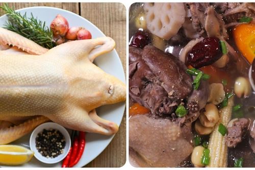 Các món ăn, bài thuốc từ thịt vịt tốt cho sức khỏe