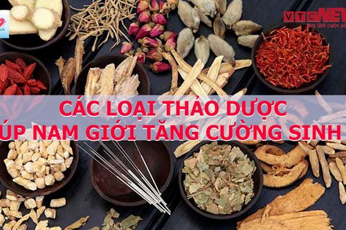 Điều trị vô sinh ở nam giới bằng thảo dược