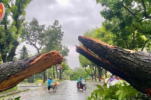 ADB viện trợ 2 triệu USD hỗ trợ Việt Nam ứng phó hậu quả bão số 3