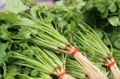 Hôm nay tôi chỉ cho bạn cách bảo quản rau mùi rất dễ dàng và nó có thể tươi ngon đến cả 1 năm