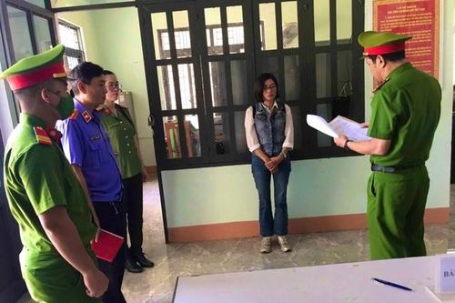 Một phụ nữ bị khởi tố vì chặt phá 344 cây gỗ rừng