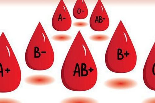 Người mang nhóm máu O, A, B, AB có nguy cơ mắc bệnh gì?