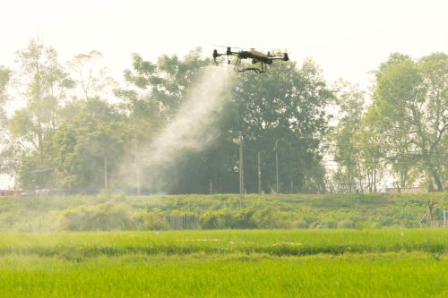 Tập huấn phun thuốc bảo vệ thực vật bằng thiết bị bay không người lái
