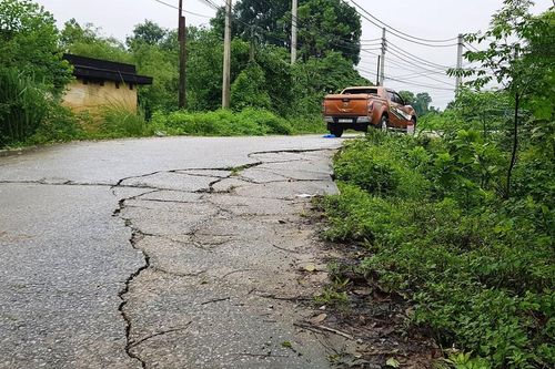 Bất an vì đê xuống cấp