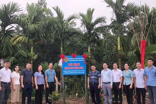 Đan Phượng: Nhiều hoạt động thiết thực chào mừng 70 năm giải phóng Thủ đô