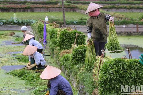 Việt Nam viết nên câu chuyện thành công ở châu Á về quá trình chuyển đổi kinh tế