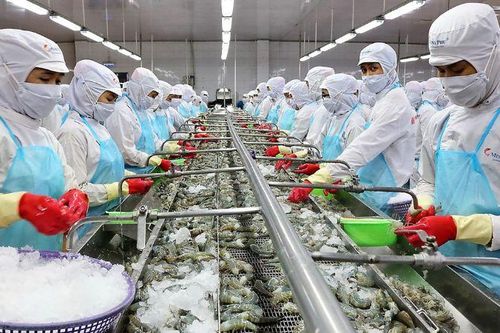 Xuất khẩu xanh: Thay đổi hay dừng 'cuộc chơi'?