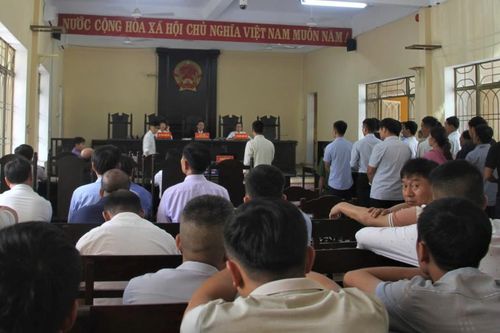 Xét xử các bị cáo liên quan đến sai phạm tại Trung tâm đăng kiểm xe cơ giới 92-02D