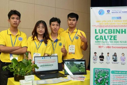 Băng gạc y tế từ cây lục bình của sinh viên Trường ĐH Trà Vinh