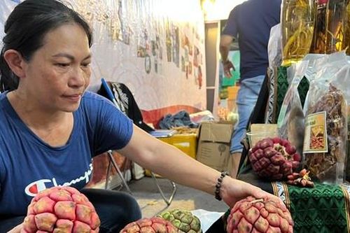 Bất ngờ na khổng lồ giá 200.000 đồng/quả