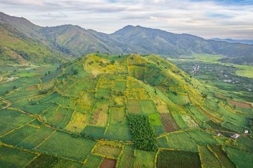 Tuần lễ Hoa dã quỳ - Núi lửa Chư Đang Ya năm 2024: Nhiều sự kiện hấp dẫn