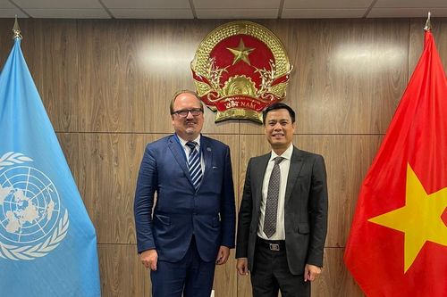 Việt Nam mong muốn tăng cường hợp tác với OECD tại các diễn đàn LHQ