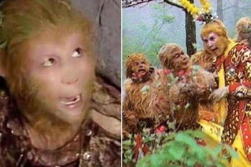 Vén màn lý do Tôn Ngộ Không bị nhốt dưới Ngũ Hành Sơn 500 năm nhưng lũ khỉ ở Hoa Quả Sơn không con nào đến giải cứu