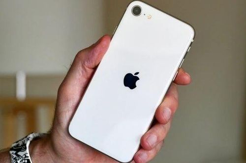 Chưa có iPhone SE 4, đây vẫn là vua iPhone giá rẻ tại Việt Nam, nhỏ gọn mạnh ngang iPhone 13 Pro Max