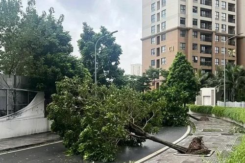 Bão số 3 và mưa lũ đã gây thiệt hại 81.500 tỷ đồng