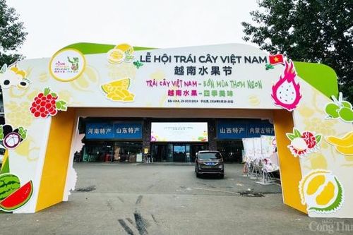 Ngày mai khai mạc Lễ hội trái cây Việt Nam tại Trung Quốc
