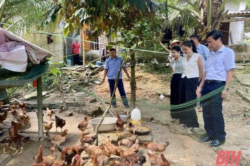 Kiểm tra, đánh giá dự án Liên kết chăn nuôi gà ri theo hướng an toàn sinh học gắn với tiêu thụ sản phẩm trên địa bàn xã Xuân Lộc