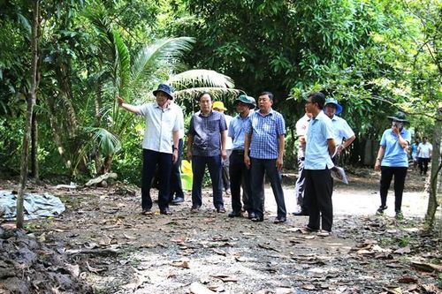 Huyện Châu Thành và Lai Vung đảm bảo thực hiện tốt công tác phòng, chống lũ bảo vệ sản xuất