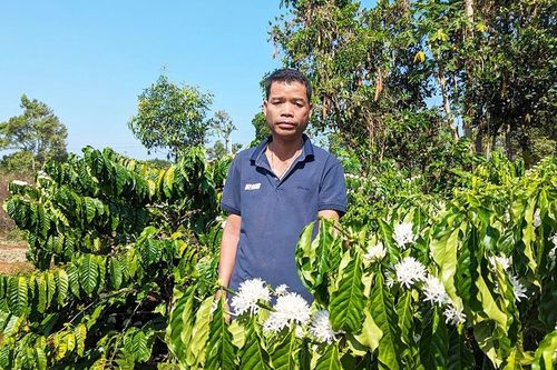 Xung quanh chiến công của du kích Puih Glớ và đồng đội - Kỳ cuối: Phác họa chân dung Puih Glớ