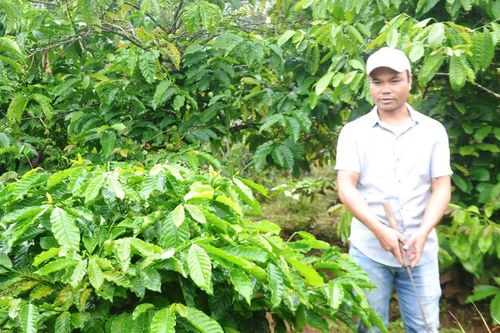 Pleiku phát huy hiệu quả nguồn quỹ hỗ trợ nông dân
