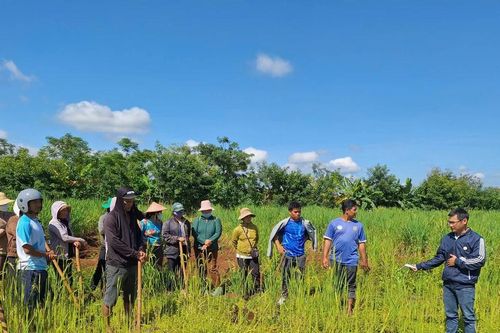 30 học viên người dân tộc thiểu số ở xã A Dơk được học nghề trồng chanh dây