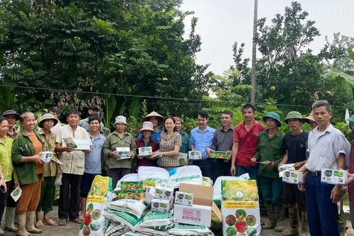 Hỗ trợ phân bón, thuốc bảo vệ thực vật khôi phục diện tích na bị ngập úng tại xã Thái Niên