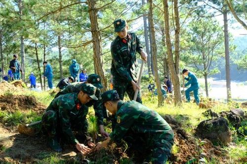 Tuổi trẻ Lâm Đồng trồng 2.000 cây xanh