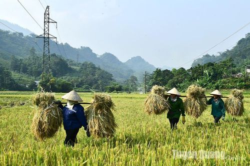 Mùa nối mùa
