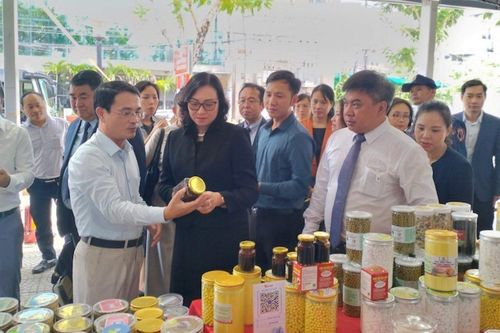 Quảng Bình: Nâng cao hiệu quả hoạt động xúc tiến thương mại