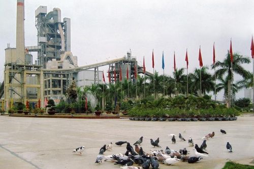 Kỳ 2: Hiệu quả tiết kiệm năng lượng của ngành Xi măng ở mức nào?