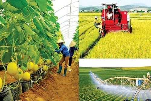 Thực hiện hiệu quả tái cơ cấu nông nghiệp