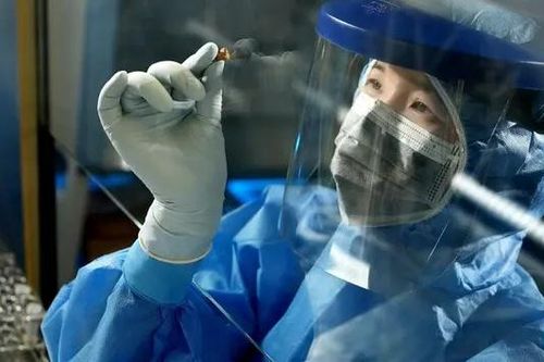 Trung Quốc: Giải mã DNA từ pho mát 3500 năm tuổi