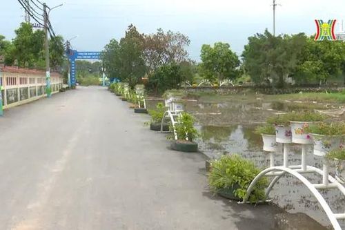 Tuyến đường hoa 1000m độc đáo
