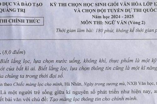Đề thi chọn học sinh giỏi Ngữ văn quốc gia: Tạo màng lọc thông tin cho chính mình