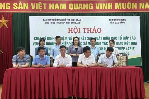 Hội thảo chia sẻ kinh nghiệm về liên kết sản xuất giữa các tổ hợp tác với các doanh nghiệp, hợp tác xã