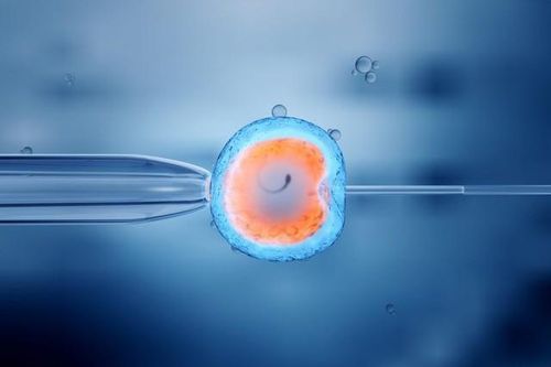 Trẻ sinh ra từ phương pháp IVF có nguy cơ mắc các bệnh về tim cao hơn?