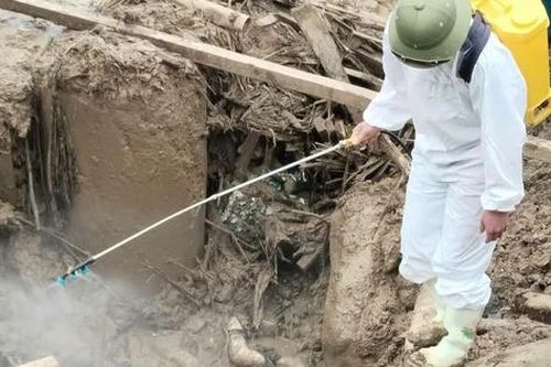 Đứng dậy sau giông bão (2): Bước chân không mỏi của cán bộ y tế cơ sở