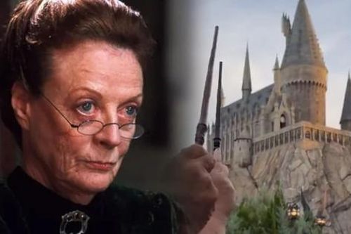 Fan Harry Potter giơ cao đũa thần để tưởng nhớ diễn viên quá cố Maggie Smith
