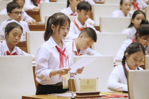 306 trẻ em hóa thân thành đại biểu Quốc hội, chất vấn các vấn đề nóng