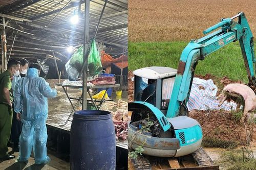 Cơ sở giết mổ chứa gần 3 tấn thịt lợn nhiễm bệnh dịch ở Chương Mỹ