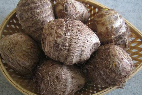 Ngẫm ngợi cuối tuần: Vẫn là khoai sọ
