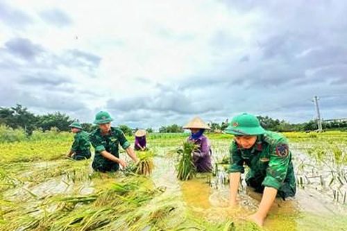 Tình quân dân trên quê hương Vĩnh Phúc