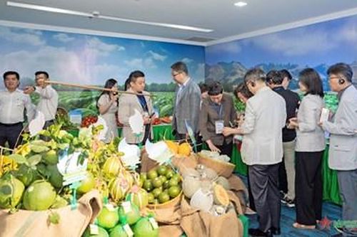 Nhà bán lẻ 'bắt tay' quy hoạch vùng nguyên liệu bền vững hàng Việt