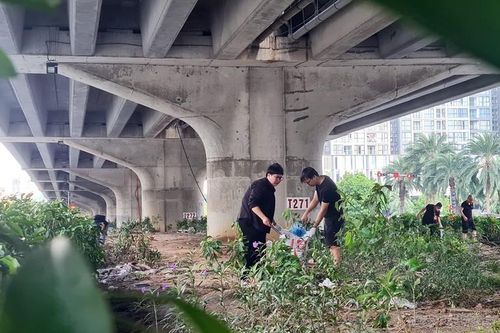 Hàng trăm người tham gia dọn rác ở Hà Nội