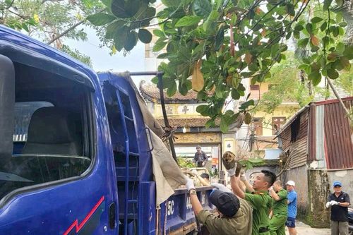 Hải Phòng: Nỗ lực đưa các thiết chế văn hóa, thể thao hoạt động trở lại