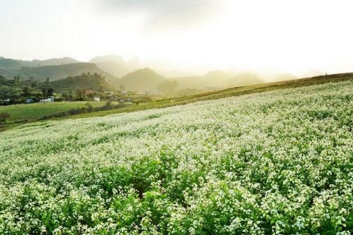 Cơ hội để du lịch Sơn La bứt phá vào mùa cao điểm cuối năm